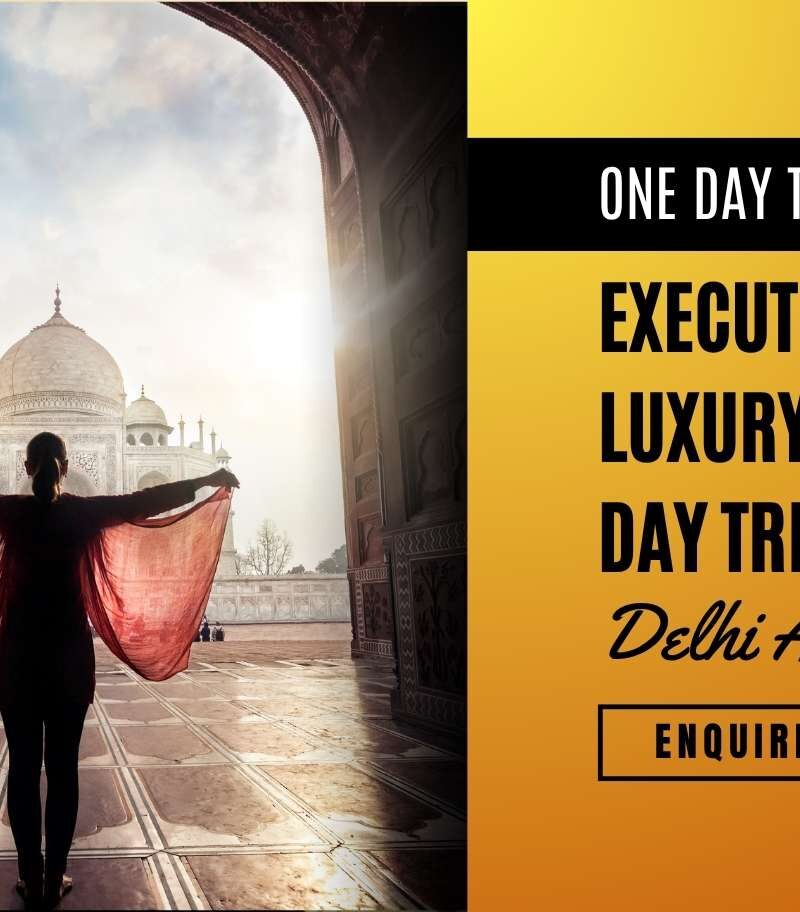 Executive Escape Luxury Taj Mahal Day Trip from Delhi