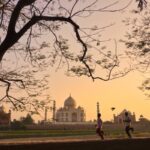 taj-mahal-premium taj-mahal-premium