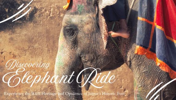 elephant ride